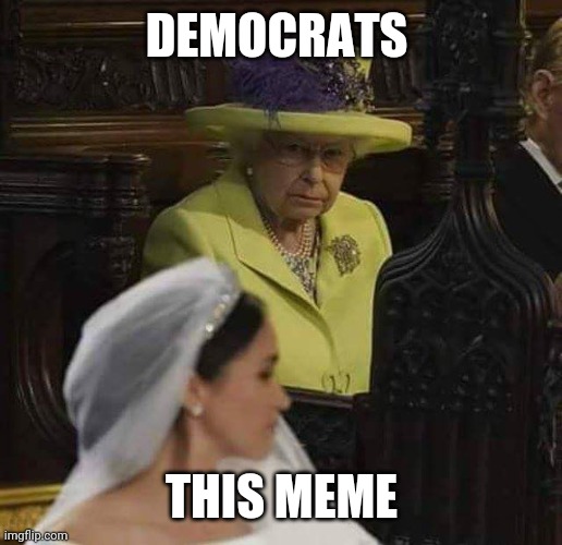 royal bitch | DEMOCRATS THIS MEME | image tagged in royal bitch | made w/ Imgflip meme maker