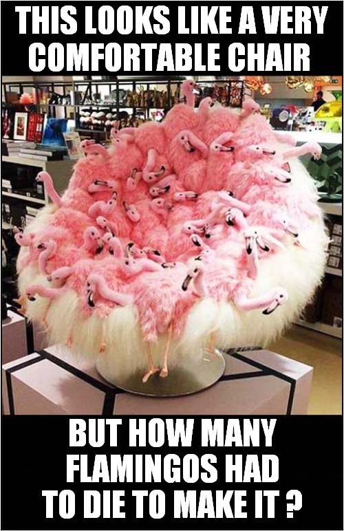 A Costly Comfy Chair ! | THIS LOOKS LIKE A VERY; COMFORTABLE CHAIR; BUT HOW MANY FLAMINGOS HAD TO DIE TO MAKE IT ? | image tagged in fun,chair,flamingo,fake news | made w/ Imgflip meme maker