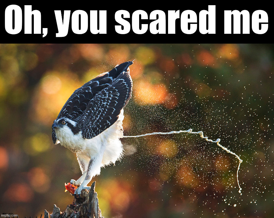 Oh, you scared me | made w/ Imgflip meme maker