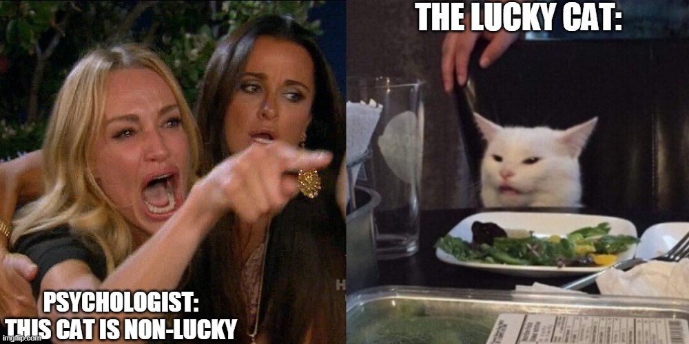 psychologist doesn't know its a lucky cat | THE LUCKY CAT:; PSYCHOLOGIST: THIS CAT IS NON-LUCKY | image tagged in woman yelling at cat | made w/ Imgflip meme maker