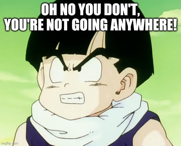 Jealousy Gohan (DBZ Namek) | OH NO YOU DON'T, YOU'RE NOT GOING ANYWHERE! | image tagged in jealousy gohan dbz namek | made w/ Imgflip meme maker