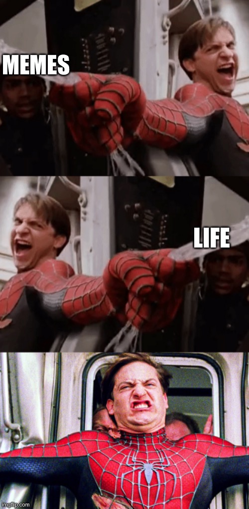 When you try to hold on to memes and life at the same time | MEMES; LIFE | image tagged in funny,memes,spiderman,trains | made w/ Imgflip meme maker
