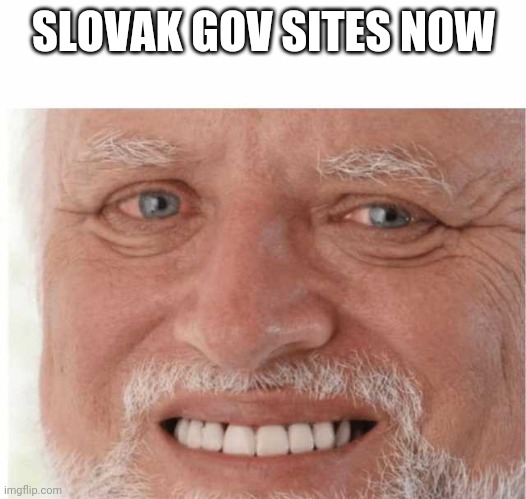Slovak gov sites | SLOVAK GOV SITES NOW | image tagged in pain harold | made w/ Imgflip meme maker