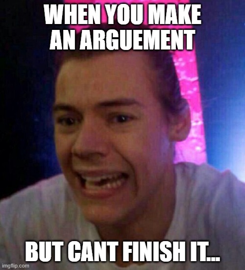 dang it harry... | WHEN YOU MAKE AN ARGUEMENT; BUT CANT FINISH IT... | image tagged in harry styles | made w/ Imgflip meme maker