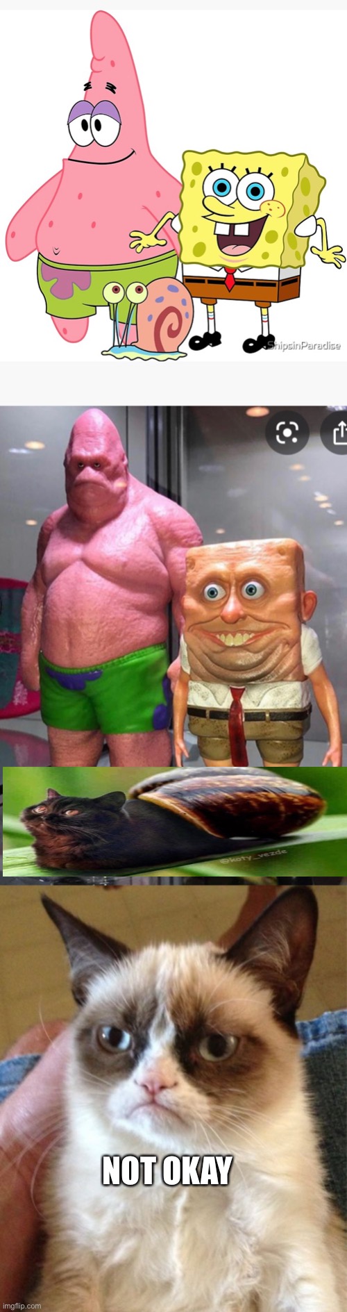 SpongeBob Patrick Star and Gary IRL | NOT OKAY | image tagged in grumpy cat,cursed image,cursed,spongebob,gary,patrick star | made w/ Imgflip meme maker