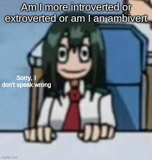 Sorry, I don't speak wrong | Am I more introverted or extroverted or am I an ambivert | image tagged in sorry i don't speak wrong | made w/ Imgflip meme maker