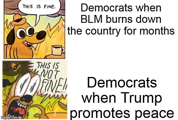 Well that's ironic | Democrats when BLM burns down the country for months; Democrats when Trump promotes peace | image tagged in this is fine this is not fine,irony,democrats | made w/ Imgflip meme maker