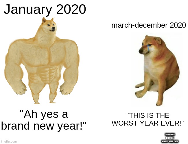 Buff Doge vs. Cheems | January 2020; march-december 2020; "Ah yes a brand new year!"; "THIS IS THE WORST YEAR EVER!"; 2020 WAS NOT THE WORST YEAR EVER | image tagged in memes,buff doge vs cheems,2020,look up the year 536 | made w/ Imgflip meme maker