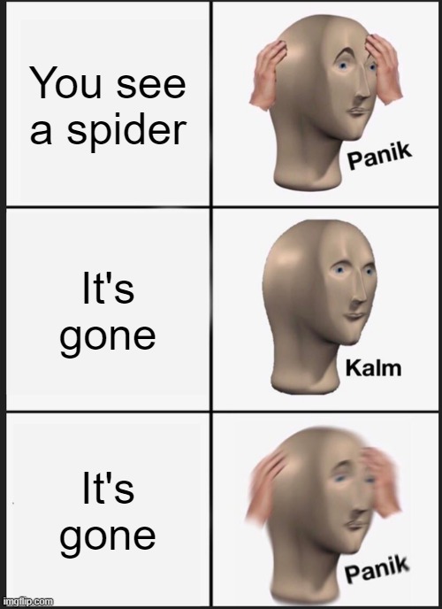 Spiders be like | You see a spider; It's gone; It's gone | image tagged in memes,panik kalm panik | made w/ Imgflip meme maker