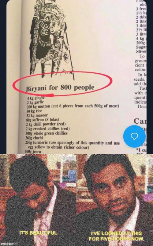 Aziz Ansari is interested | image tagged in biryani for 800 people,it s beautiful i ve looked at this for five hours now deep-fried | made w/ Imgflip meme maker