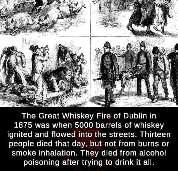 Great Whiskey Fire Blank Meme Template