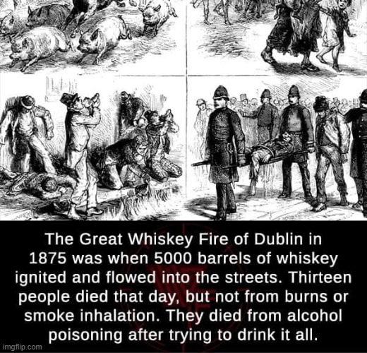 history is fascinating | image tagged in great whiskey fire,history,historical meme,repost,alcohol,ireland | made w/ Imgflip meme maker