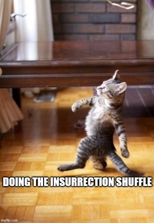 Cool Cat Stroll | DOING THE INSURRECTION SHUFFLE | image tagged in memes,cool cat stroll | made w/ Imgflip meme maker