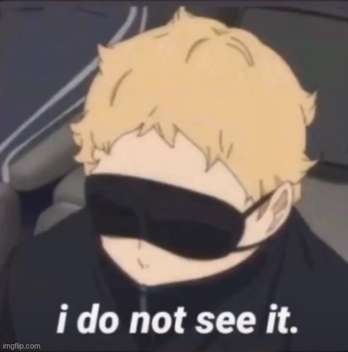 I do not see it | image tagged in i do not see it | made w/ Imgflip meme maker