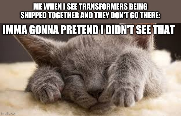 IDK | ME WHEN I SEE TRANSFORMERS BEING SHIPPED TOGETHER AND THEY DON'T GO THERE:; IMMA GONNA PRETEND I DIDN'T SEE THAT | image tagged in hide and seek cat | made w/ Imgflip meme maker