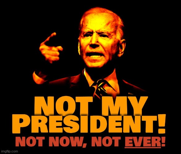 Anyone who seriously believes this buffoon legitimately won the election is either profoundly ignorant or a useful idiot! | image tagged in joe biden,voter fraud,2020 elections,politics,political | made w/ Imgflip meme maker