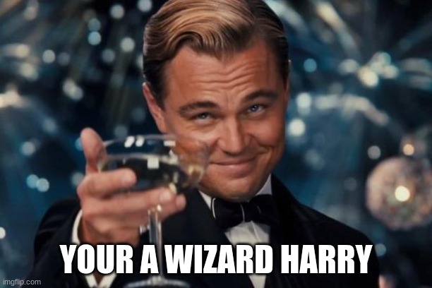 Leonardo Dicaprio Cheers | YOUR A WIZARD HARRY | image tagged in memes,leonardo dicaprio cheers,harry potter,lol so funny | made w/ Imgflip meme maker
