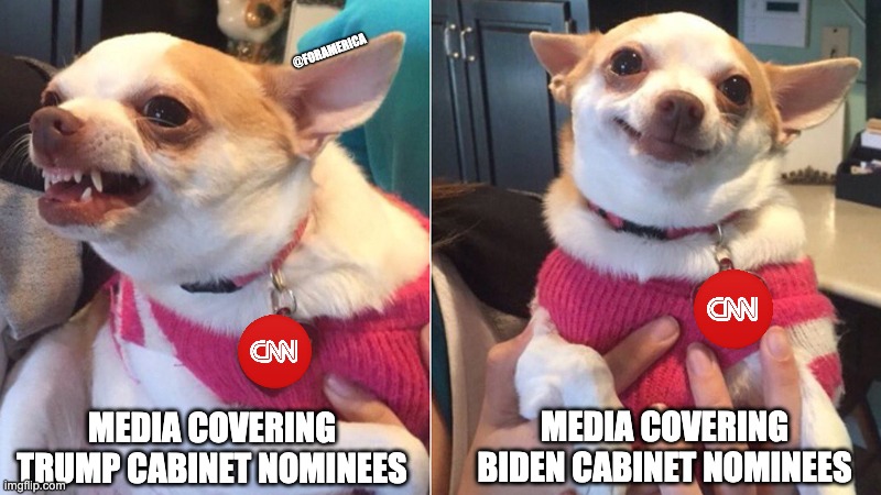 What a difference four years makes | @FORAMERICA; MEDIA COVERING BIDEN CABINET NOMINEES; MEDIA COVERING TRUMP CABINET NOMINEES | image tagged in lily lu | made w/ Imgflip meme maker