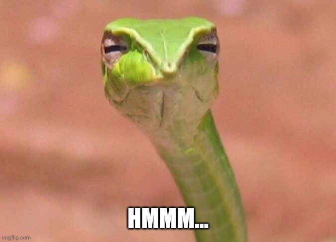 Skeptical snake | HMMM... | image tagged in skeptical snake | made w/ Imgflip meme maker