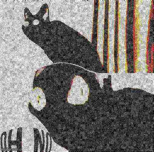 Deep fried oh no cat | image tagged in deep fried oh no cat | made w/ Imgflip meme maker