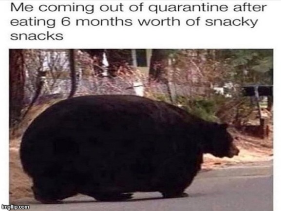 New year new me am I right? | image tagged in bear memes,quarantine,snacks,upvote if you agree | made w/ Imgflip meme maker