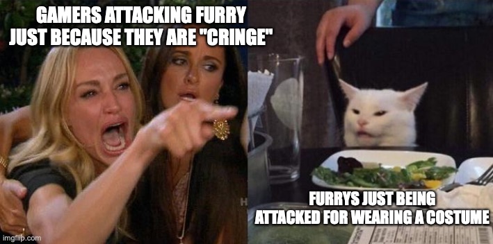 I'm definitely going to be attacked after this... whateves. (I'm not a furry i just support them) | GAMERS ATTACKING FURRY JUST BECAUSE THEY ARE "CRINGE"; FURRYS JUST BEING ATTACKED FOR WEARING A COSTUME | image tagged in girl screaming at cat | made w/ Imgflip meme maker