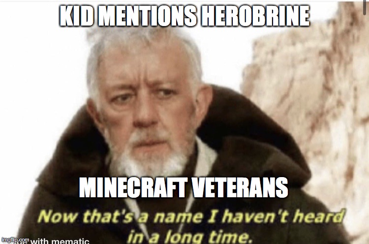 Now that’s a name I haven’t heard in years | KID MENTIONS HEROBRINE; MINECRAFT VETERANS | image tagged in now that s a name i haven t heard in years | made w/ Imgflip meme maker