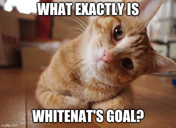 Curious Question Cat | WHAT EXACTLY IS; WHITENAT'S GOAL? | image tagged in curious question cat | made w/ Imgflip meme maker