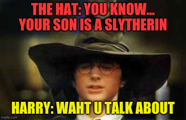 Waht you talk about | THE HAT: YOU KNOW... YOUR SON IS A SLYTHERIN; HARRY: WAHT U TALK ABOUT | image tagged in harry potter sorting hat | made w/ Imgflip meme maker