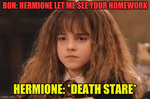 *death stare* | RON: HERMIONE LET ME SEE YOUR HOMEWORK; HERMIONE: *DEATH STARE* | image tagged in harry potter - miss granger is not amused | made w/ Imgflip meme maker