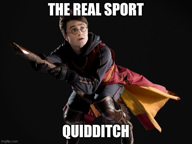 Da real sport | THE REAL SPORT; QUIDDITCH | image tagged in flying quidditch potter | made w/ Imgflip meme maker