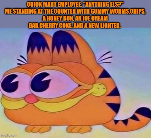 QUICK MART EMPLOYEE: "ANYTHING ELS?"

ME STANDING AT THE COUNTER WITH GUMMY WORMS,CHIPS, A HONEY BUN, AN ICE CREAM BAR,CHERRY COKE, AND A NEW LIGHTER. | made w/ Imgflip meme maker