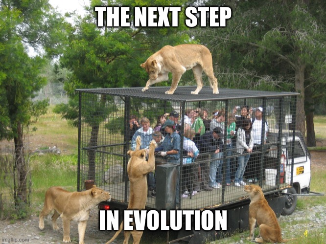 Kitty cat lunch box | THE NEXT STEP IN EVOLUTION | image tagged in kitty cat lunch box | made w/ Imgflip meme maker