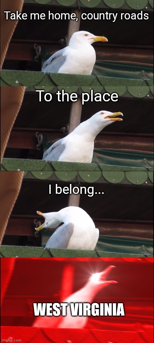 Mountain mama | Take me home, country roads; To the place; I belong... WEST VIRGINIA | image tagged in memes,inhaling seagull | made w/ Imgflip meme maker