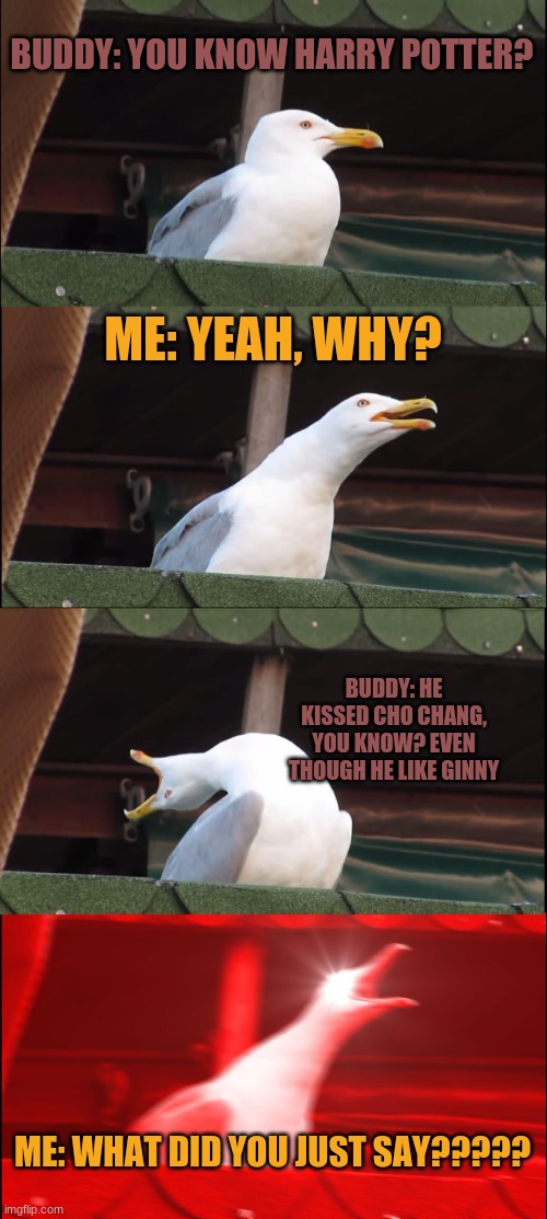 WhAT | BUDDY: YOU KNOW HARRY POTTER? ME: YEAH, WHY? BUDDY: HE KISSED CHO CHANG, YOU KNOW? EVEN THOUGH HE LIKE GINNY; ME: WHAT DID YOU JUST SAY????? | image tagged in memes,inhaling seagull,lol so funny | made w/ Imgflip meme maker