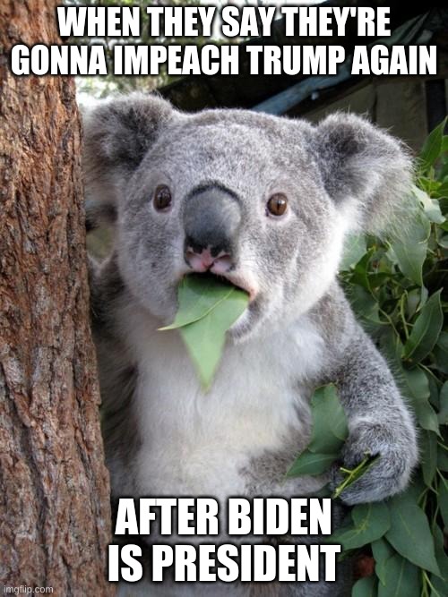Think about it | WHEN THEY SAY THEY'RE GONNA IMPEACH TRUMP AGAIN; AFTER BIDEN IS PRESIDENT | image tagged in memes,surprised koala | made w/ Imgflip meme maker