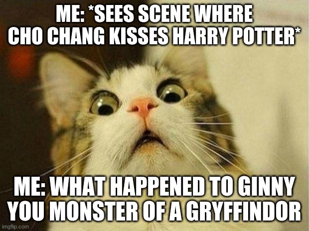 "You monster of a Gryffindor" | ME: *SEES SCENE WHERE CHO CHANG KISSES HARRY POTTER*; ME: WHAT HAPPENED TO GINNY YOU MONSTER OF A GRYFFINDOR | image tagged in memes,scared cat,harry potter | made w/ Imgflip meme maker