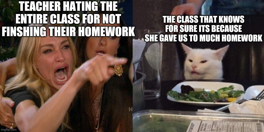 Bruh maybe if u gave us homework we could do on time that would be the case | TEACHER HATING THE ENTIRE CLASS FOR NOT FINSHING THEIR HOMEWORK; THE CLASS THAT KNOWS FOR SURE ITS BECAUSE SHE GAVE US TO MUCH HOMEWORK | image tagged in woman yelling at cat | made w/ Imgflip meme maker