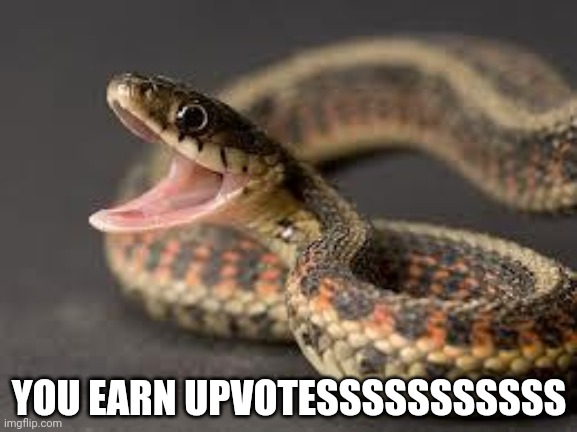 Warning Snake | YOU EARN UPVOTESSSSSSSSSSS | image tagged in warning snake | made w/ Imgflip meme maker