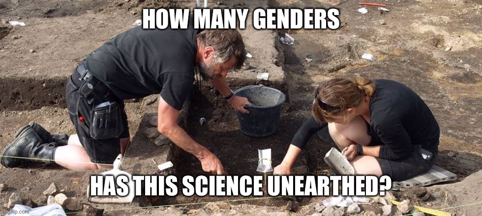 archeologists | HOW MANY GENDERS HAS THIS SCIENCE UNEARTHED? | image tagged in archeologists | made w/ Imgflip meme maker