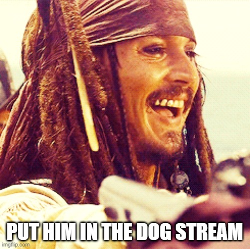 JACK LAUGH | PUT HIM IN THE DOG STREAM | image tagged in jack laugh | made w/ Imgflip meme maker