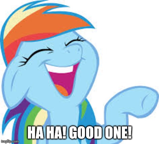 Rainbow Dash laughing | HA HA! GOOD ONE! | image tagged in rainbow dash laughing | made w/ Imgflip meme maker