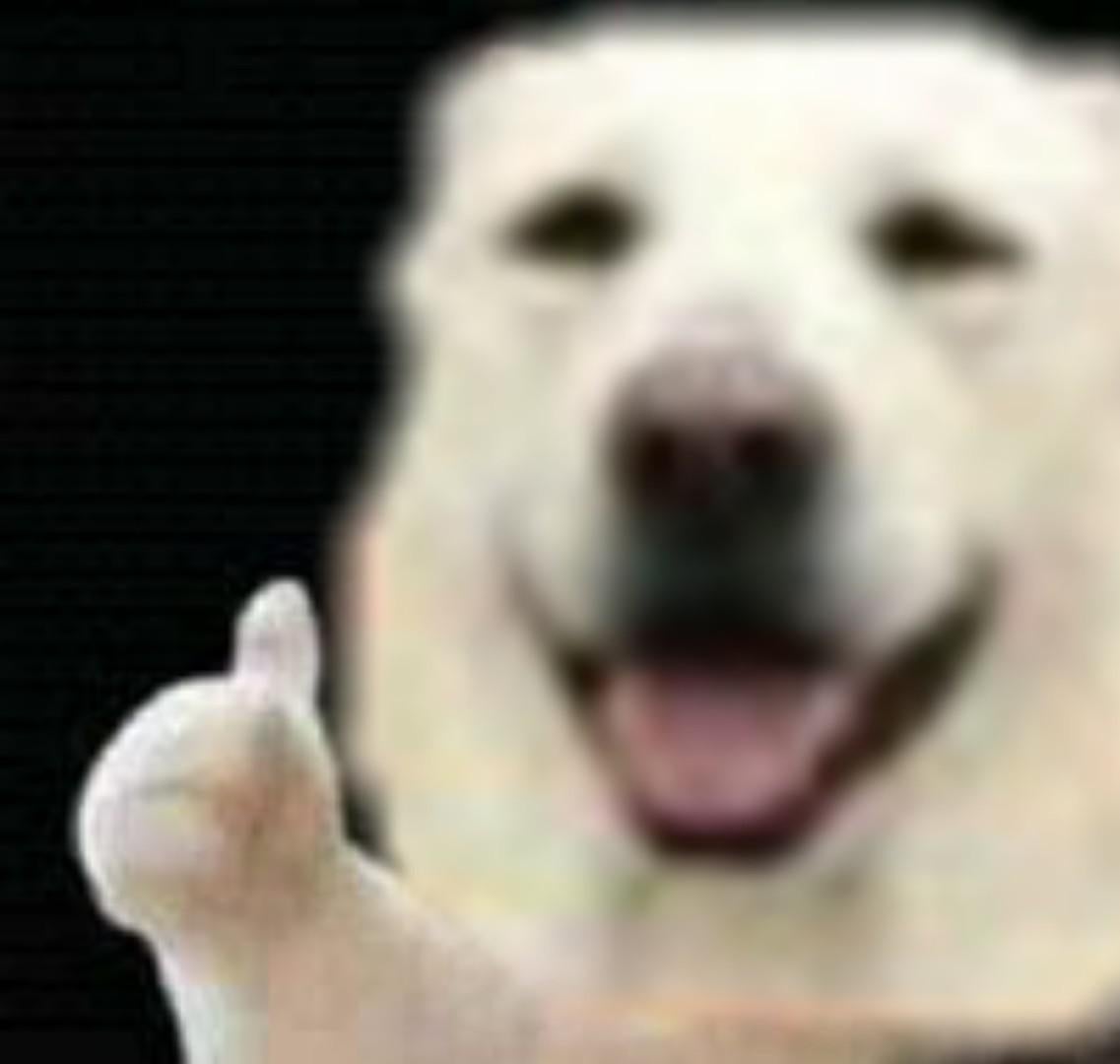 High Quality Doggie Thumbs Up Blank Meme Template