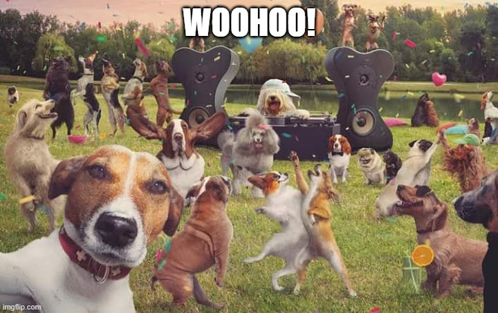 Dogs celebrate | WOOHOO! | image tagged in dogs celebrate | made w/ Imgflip meme maker