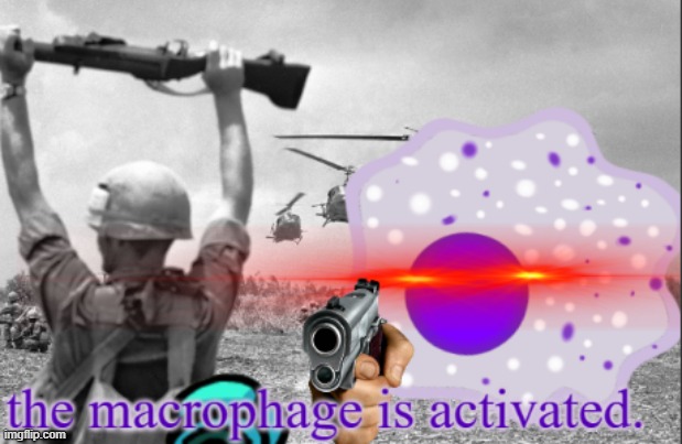 https://imgflip.com/memegenerator/292765964/the-macrophage-is-activated | image tagged in the macrophage is activated | made w/ Imgflip meme maker