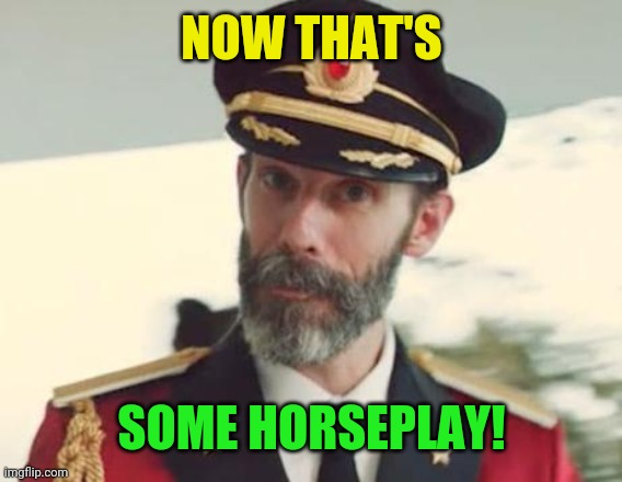 Captain Obvious | NOW THAT'S SOME HORSEPLAY! | image tagged in captain obvious | made w/ Imgflip meme maker