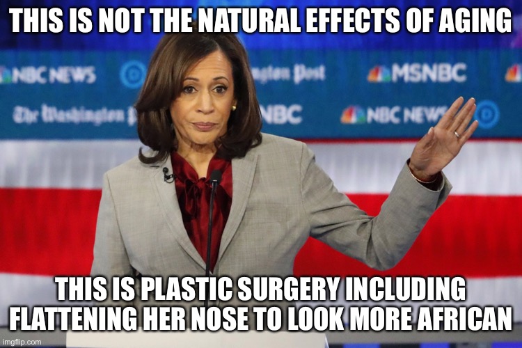 THIS IS NOT THE NATURAL EFFECTS OF AGING THIS IS PLASTIC SURGERY INCLUDING FLATTENING HER NOSE TO LOOK MORE AFRICAN | made w/ Imgflip meme maker