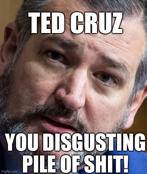 Ted Cruz, who peddled election misinformation for weeks before the Capitol riot, plans to attend Biden's inauguration! | TED CRUZ; YOU DISGUSTING PILE OF SHIT! | image tagged in ted cruz,despicable,pile of shit,pathological liar,punchable face,trump sycophant | made w/ Imgflip meme maker