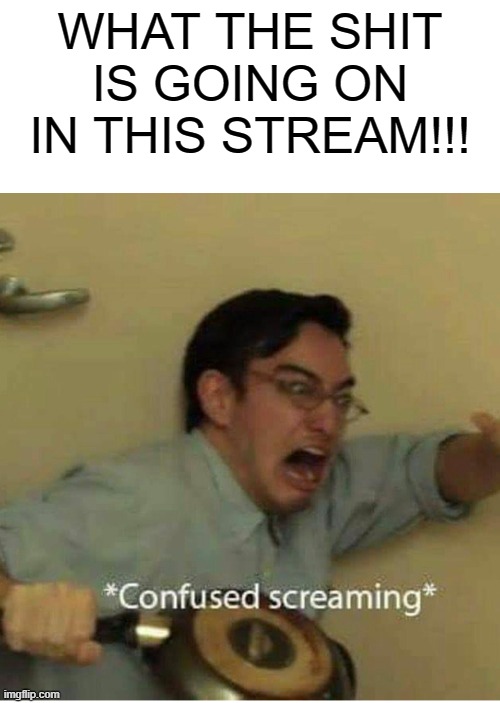 .;,;. | WHAT THE SHIT IS GOING ON IN THIS STREAM!!! | image tagged in confused screaming | made w/ Imgflip meme maker