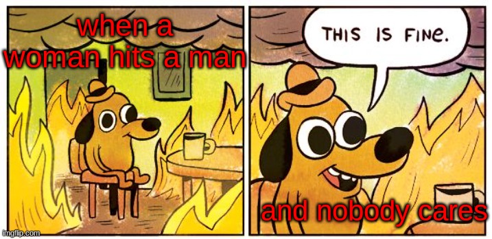 what is wrong with the human race? | when a woman hits a man; and nobody cares | image tagged in memes,this is fine | made w/ Imgflip meme maker